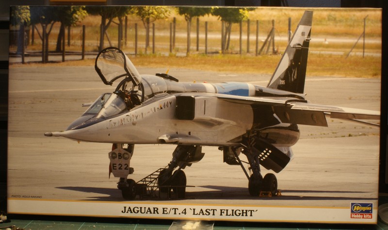 [Hasegawa] Sepecat Jaguar E Last Flight 1/72  1009040617401050216689969