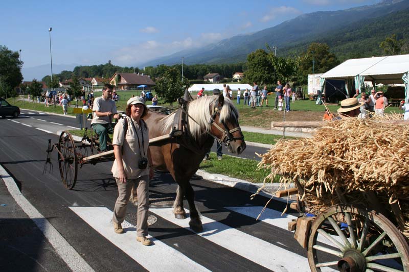 FETE DE BATTEUSE A CROZET ( PAYS DE GEX ) 01 100907094002490476705546