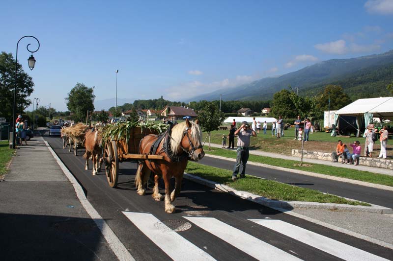 FETE DE BATTEUSE A CROZET ( PAYS DE GEX ) 01 100907093903490476705543