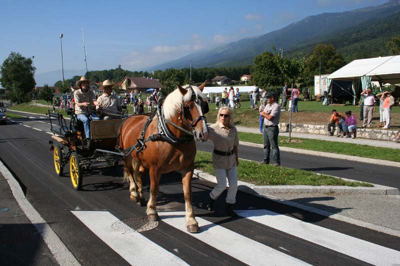 FETE DE BATTEUSE A CROZET ( PAYS DE GEX ) 01 100907094030490476705551