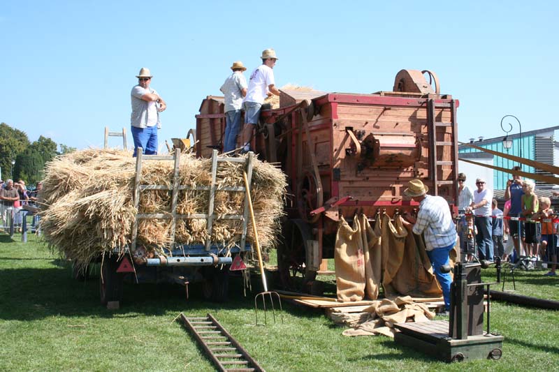 FETE DE BATTEUSE A CROZET ( PAYS DE GEX ) 01 100907094148490476705557