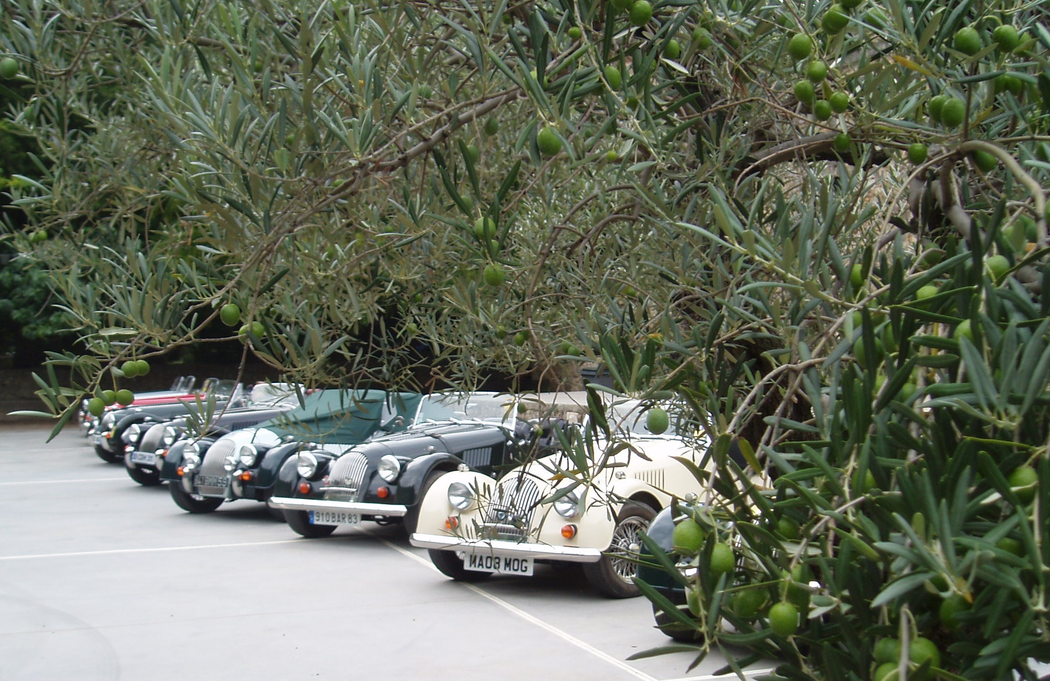 sortie Bouzigues 058