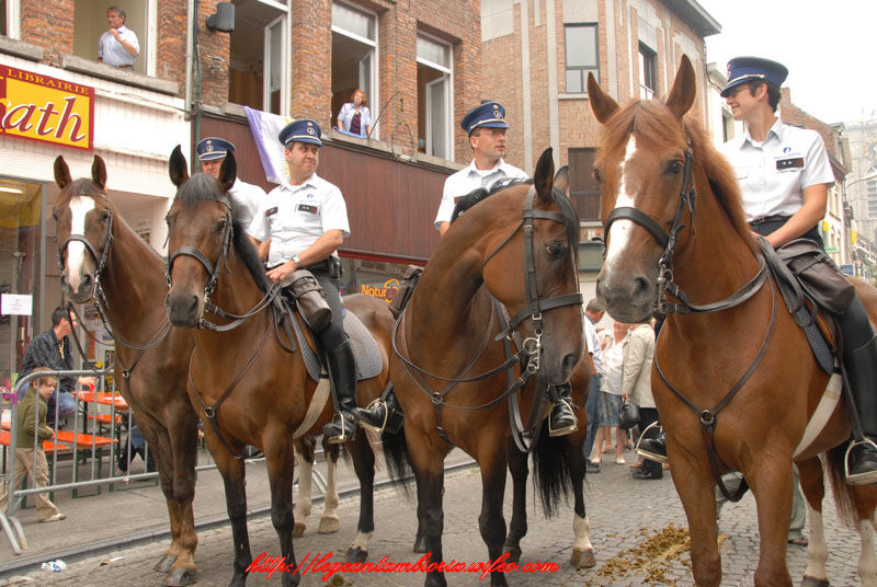 dimanchejflament (1061)