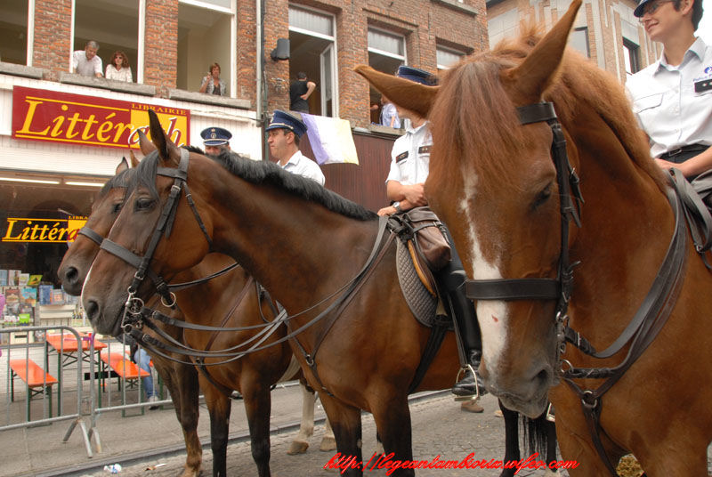 dimanchejflament (1065)