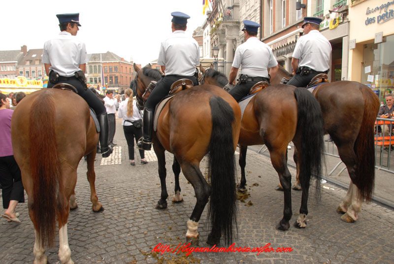 dimanchejflament (1066)