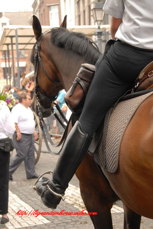 dimanchejflament (1067)