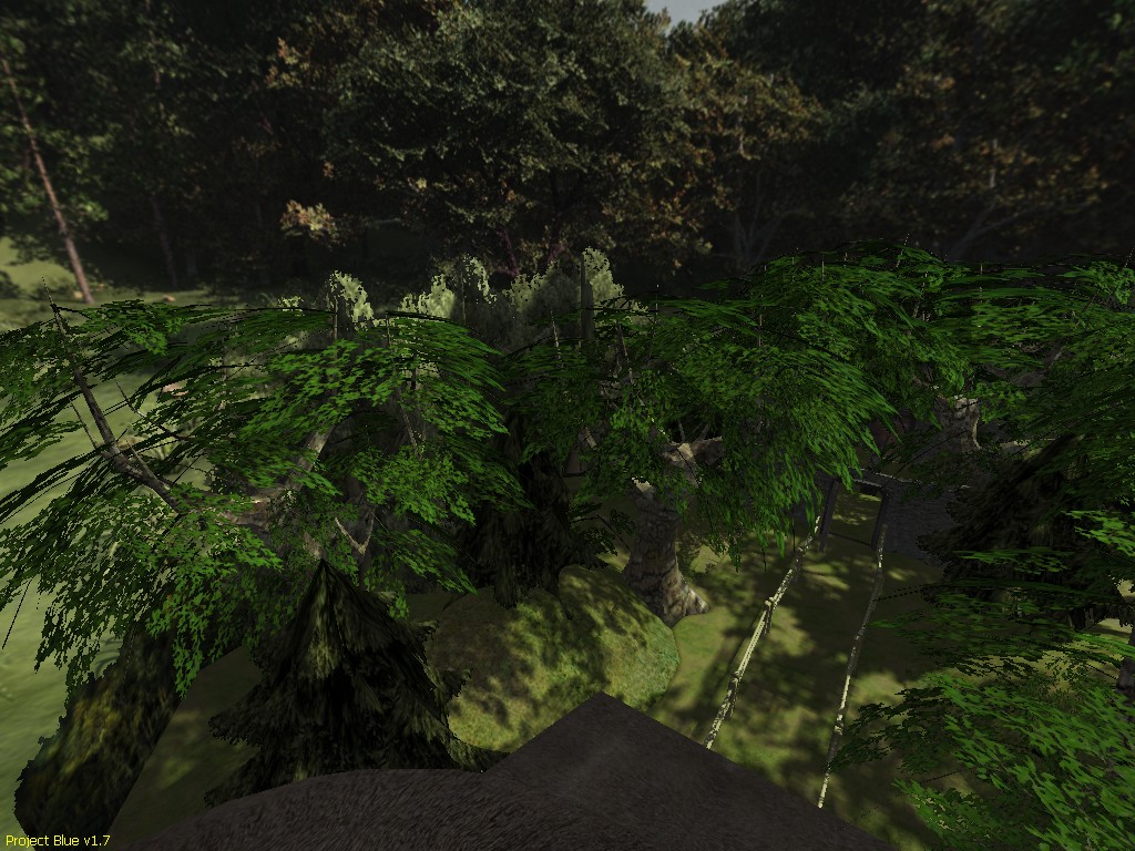 jardin7