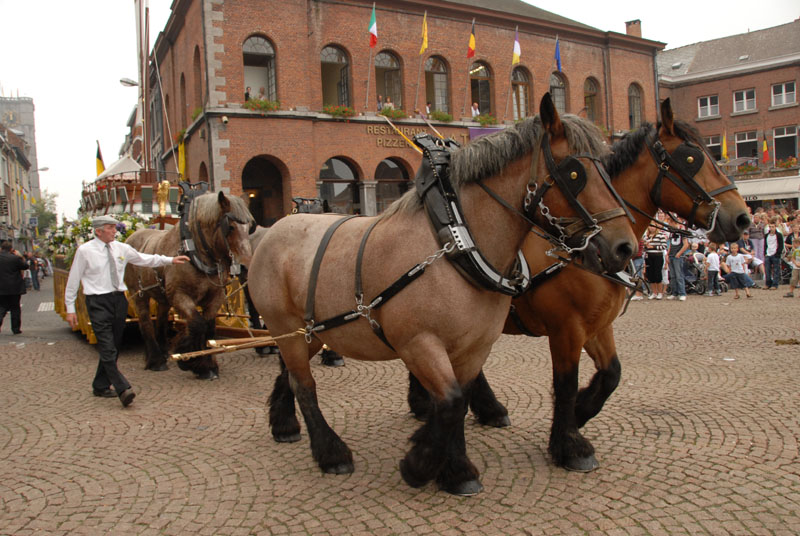 dimanchejflament (820)