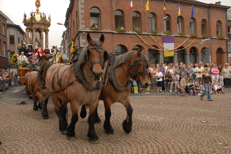 dimanchejflament (975)