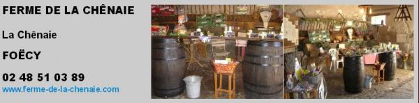 VOLAILLES - OEUFS 101008091354643126890511