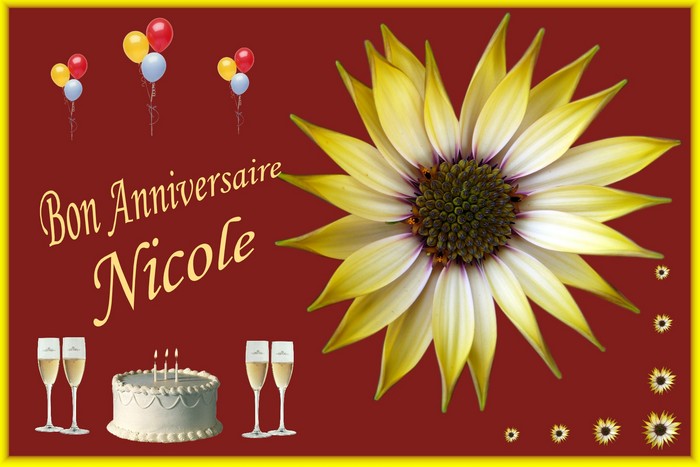 Bon Anniversaire Nicole