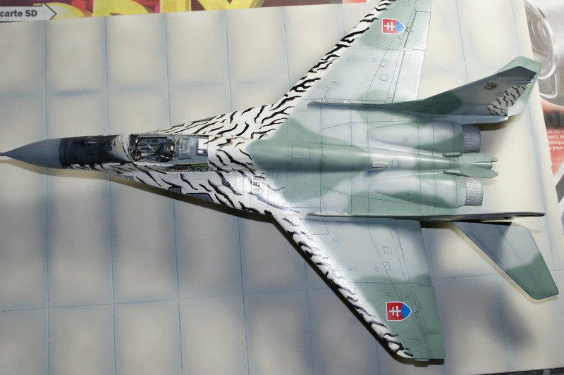 [?] 1/48 - Mikoyan-Gourevitch Mig-29 A Fulcrum  - Page 7 1010201052491056186960432