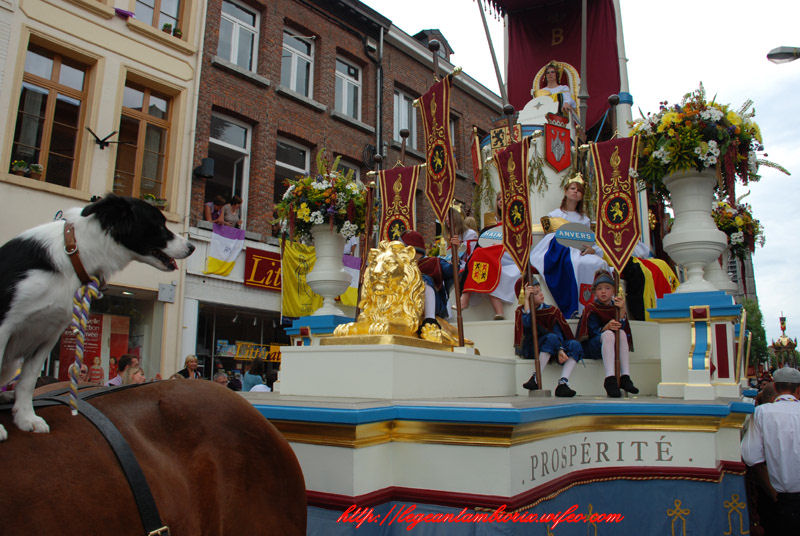 dimanchebetdminet (425)