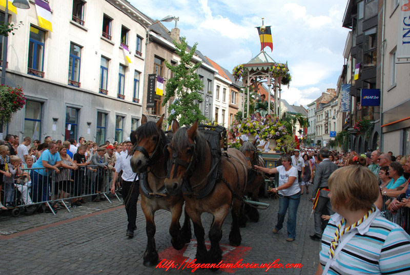 dimanchebetdminet (733)