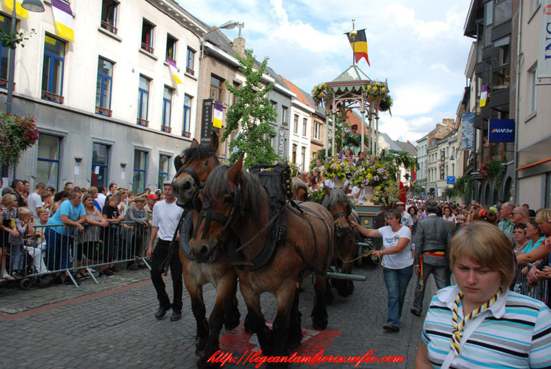 dimanchebetdminet (734)