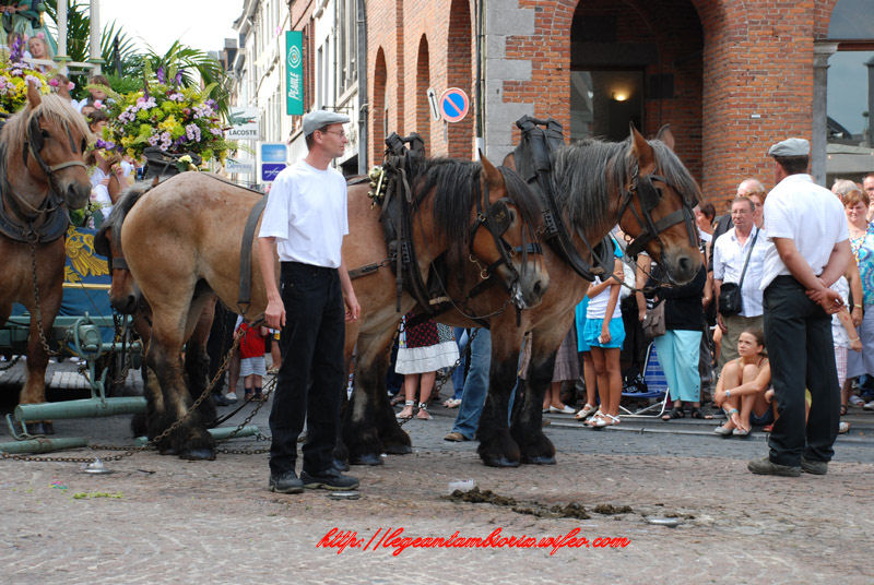 dimanchebetdminet_(230)