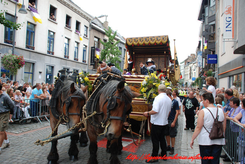 dimanchebetdminet (816)