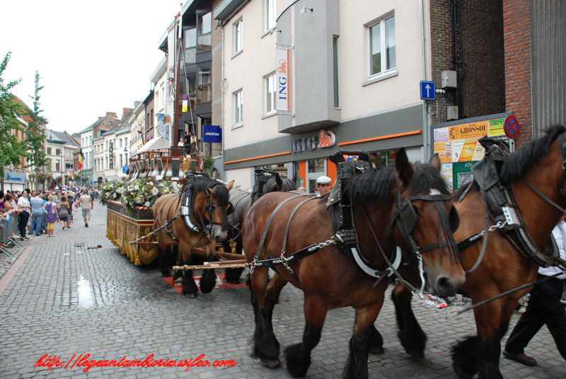 dimanchebetdminet (838)