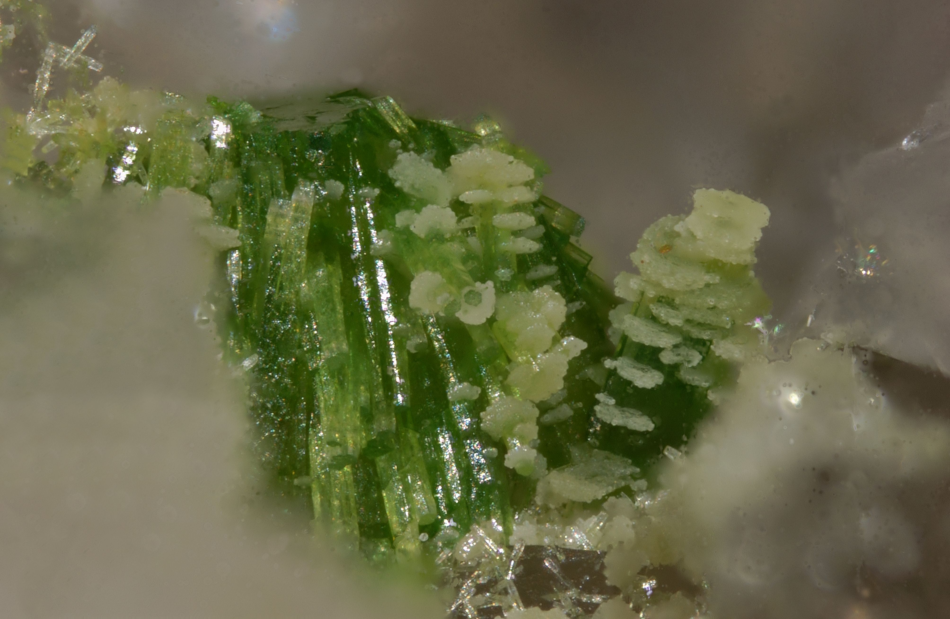 471a-2 Pyromorphite - 3,05 x 2,0 mm - Luminar 40mm - 39cm - CZM