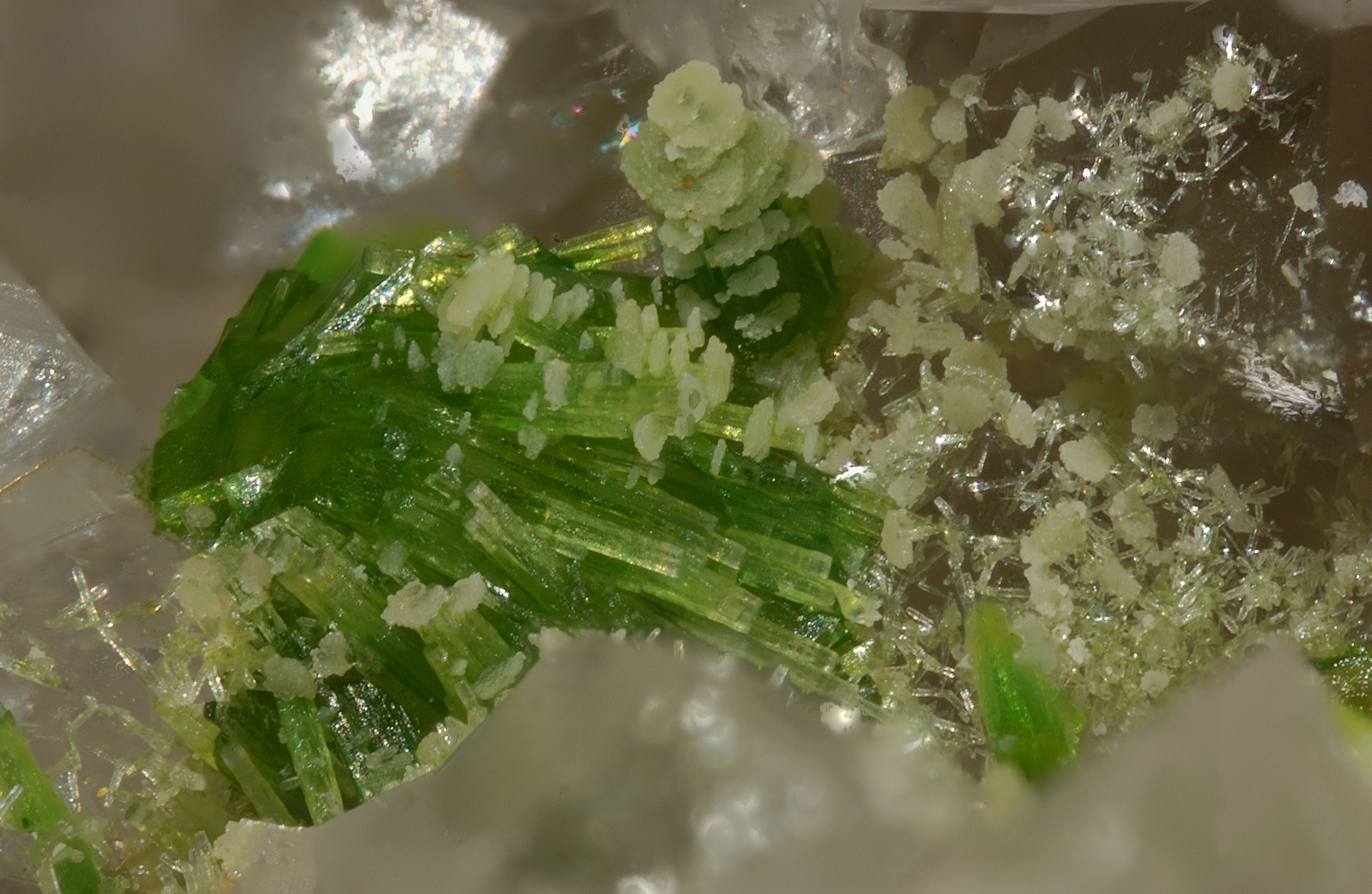 471b-4 Pyromorphite - 3,85 x 2,55 mm - Luminar 40mm - 32,5cm - CZM