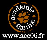 Activités ludiques pour novembre et décembre 2010 chez Académie Canine 101112065547947877100731