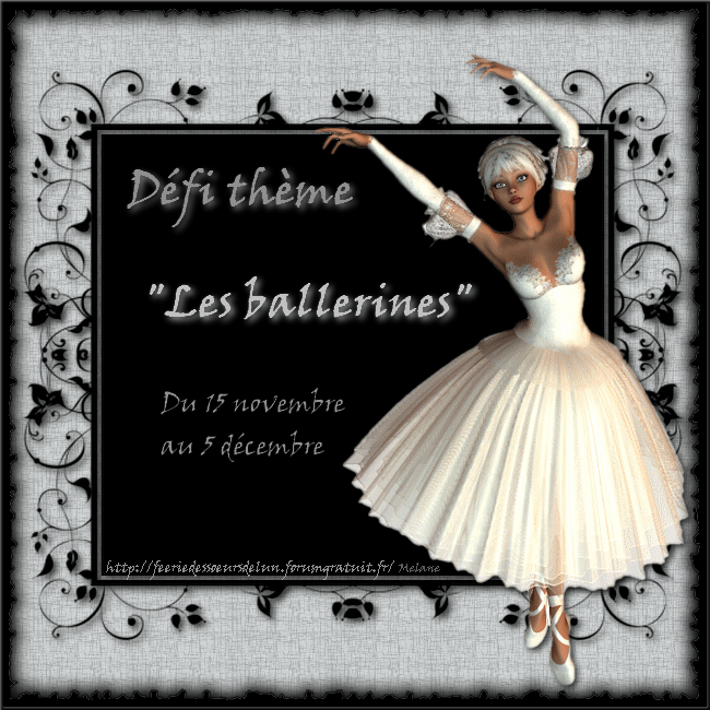 Deuxième défi thème de Mélane ; "Les ballerines" (15 novembre au 5 décembre) 101115091145748667119692