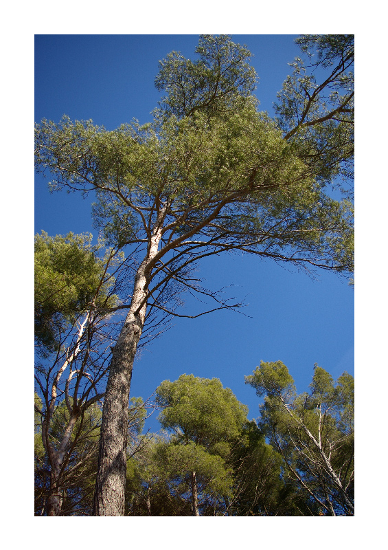 IMGP0237-retouche-1-couleur